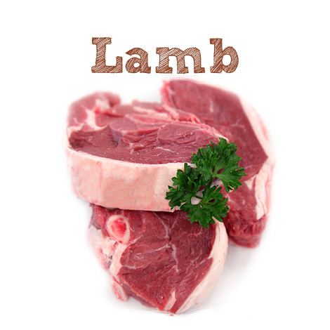 Lamb